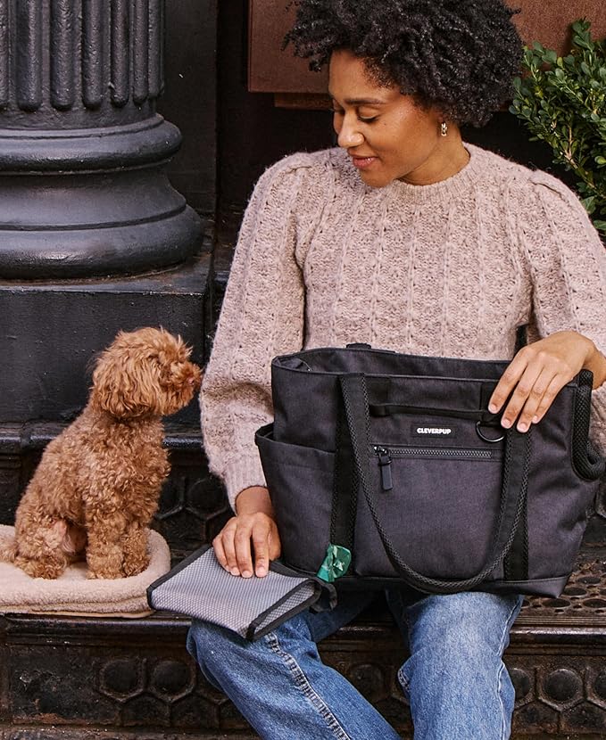Cleverpup Transit Tote Dog Carrier for Small Dogs up to 8 lbs, 16x11x8 Soft-Sided 4-Pc Set with Waterproof Base, Plush Insert, Food Pouch, Mesh Head Opening - Small, Graphite Graphite