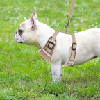 PUPTECK Small Dog Harness and Leash Set, No Pull Adjustable Puppy Cat Harness, Reflective Soft Mesh Pet Vest Small Sized, Khaki, M