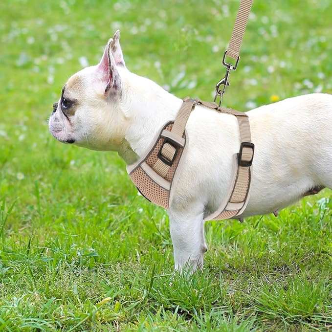 PUPTECK Small Dog Harness and Leash Set, No Pull Adjustable Puppy Cat Harness, Reflective Soft Mesh Pet Vest Small Sized, Khaki, S