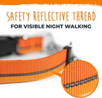 Mighty Paw Martingale Dog Collar 2.0 | Trainer Approved Limited Slip Collar with Stainless Steel Chain & Heavy Duty Buckle - Modified Cinch for Gentle & Effective Pet Training - Medium, Orange