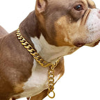 19mm Wide Adjustable Pet Training Collar for Outdoor Activities, Stainless Steel Pet Chain, Gold, Suitable for Medium to Large Dogs, Pit Bulls, Bulldogs, Doberman Pinschers, Rottweilers.