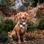 Bubblepup Dog Bandanas, Fall Dog Bandana for Boys Girls, Plaid Reversible Triangle Bibs Scarf Accessories for Dogs Pets