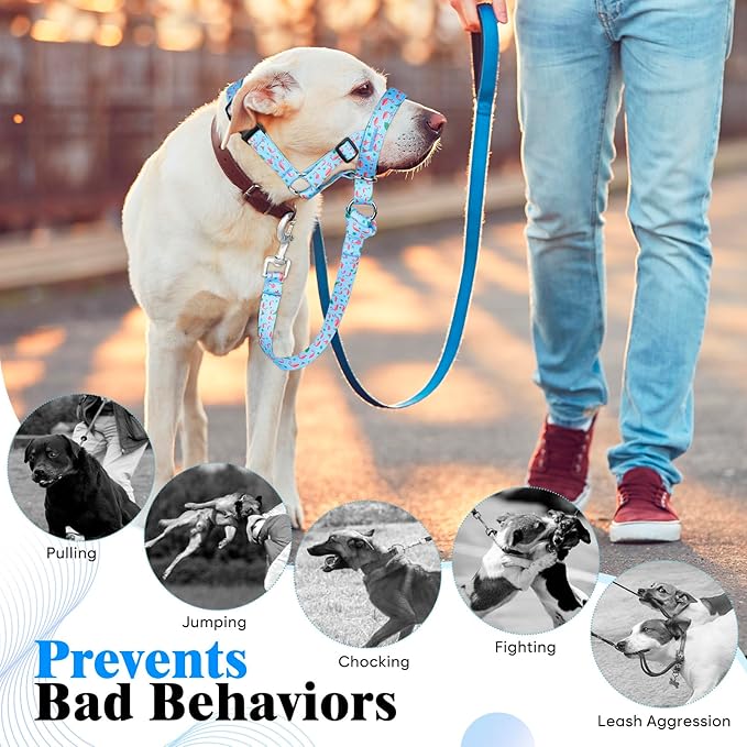 HIGO Dog Head Collar, Adjustable Head Collar for Dogs, No Pulling Head Halter, Training Nose Leash, 3 Pattern Muzzle Leash for Small Medium Large Dogs Easy Walking (Blue, XL)