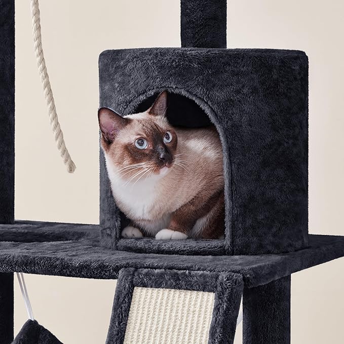 Topeakmart Cat Tower for Indoor Cats 63.5inch, Cat Furniture Condo with Scratching Posts as Kitten Activity Center