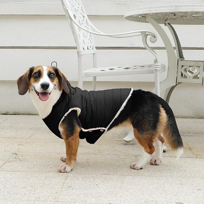 Fleece Lining Dog Hoodie with Harness Built in,Extra Warm Small Dog Jacket in Winter Puppy Coats with Drawstring Hooded,Black M
