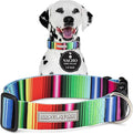 Lucky Love Dog Wide Dog Collar - Adjustable, Durable, Soft Webbing, & Comfortable 1.5 inch Wide Collar for Dogs Male and Female with Strong Buckle - Nacho, Medium