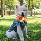 3 Pieces Small Dog Hawaiian Costume Puppy Halloween Cool T-Shirts Summer Clothes with Retro Sunglasses and Colorful Wreath Hawaiian Shirts Costume for Small to Medium Dogs Pet(Blue Series)