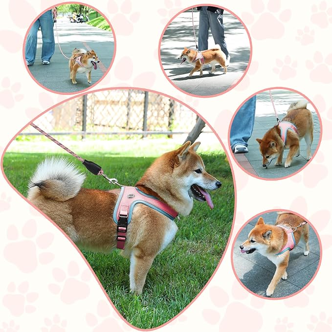Dog Harness and Leash Set, No Pull Saddle Style Pet Harness, Breathable Mesh Adjustable Reflective Dog Vest for Dogs and Cat Medium Small Harness 2 D-Rings (Pink, XS)