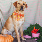 Elegant Little Tail Halloween Girl Boy Dog Bandanas - Washable Square Scarfs, Adjustable Kerchiefs for Small, Medium, Large Dogs