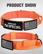 Joytale Tactical Dog Collar with Handle and Metal Buckle, Heavy Duty Padded Military Collar with 2 Patches for Training, Adjustable for XLarge Dogs, Orange, XL