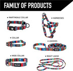 Wolfgang Heavy Duty Martingale Dog Collar with Quick Release Nylon Buckle for Walking & Training, Quetzal Print, Medium
