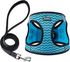 BOOMIBOO Dog Harness with Leash Set, No Pull Adjustable Reflective Step-in Puppy Pet Vest Harnesses for Small Medium Large Dogs and Cats,Blue Stripe S