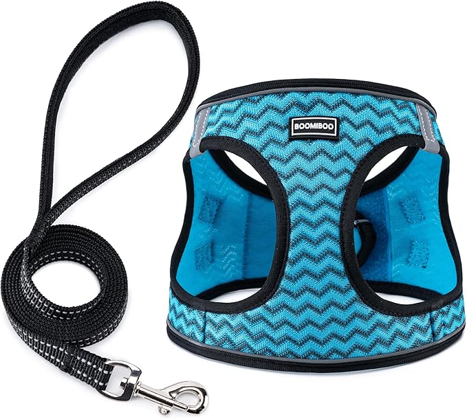 BOOMIBOO Dog Harness with Leash Set, No Pull Adjustable Reflective Step-in Puppy Pet Vest Harnesses for Small Medium Large Dogs and Cats,Blue Stripe XXS