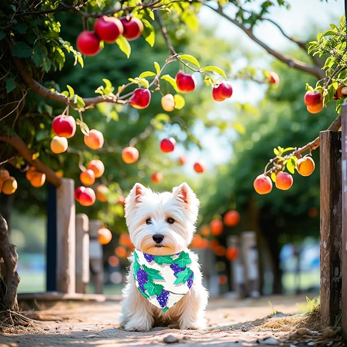 10PCS Dog Bandanas Summer Fruit for for Large Extral Large XL XXL Breed Pink Purple Yellow Blue Kerchief Triangle Bibs Head Scarves for Boys and Girls Grooming Costume