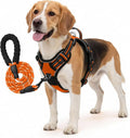 No Pull Dog Harness and Leash Set for Medium Dogs – Adjustable Reflective Breathable Soft Padded Easy Control Dog Harness for Training & Walking, Orange (Medium)