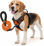 No Pull Dog Harness and Leash Set for Medium Dogs – Adjustable Reflective Breathable Soft Padded Easy Control Dog Harness for Training & Walking, Orange (Medium)