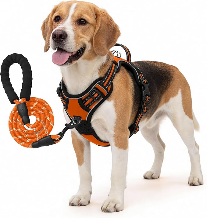 No Pull Dog Harness and Leash Set for Medium Dogs – Adjustable Reflective Breathable Soft Padded Easy Control Dog Harness for Training & Walking, Orange (Medium)