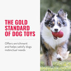 KONG Classic Stuffable Dog Toy - Fetch & Chew Toy for Dogs - Treat-Filling Capabilities & Erratic Bounce for Extended Play Time - Durable Natural Rubber Material - for Medium Dogs (Pack of 2)