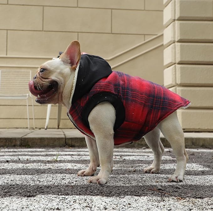 Fleece Lining Dog Hoodie for Small Dogs Extra Warm Plaid Sweater with Drawstring Hooded Coats in Winter Puppy Jacket,Red XS