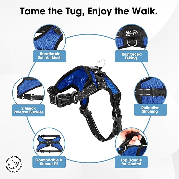 No Pull Reflective Adjustable Dog Harness With Handle- Comfortable Soft All Weather Mesh, Easy On Puppy Harness For Small Medium and Large Dogs (Blue) X-Large
