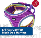 Lil Pals Mesh Comfort Mesh Adjustable Step-in Dog Harness for Puppies and Toy Breeds (Orchid, Petite Small)