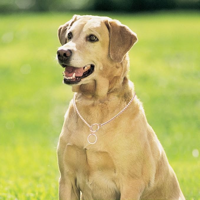 Mogoko Stainless Steel Dog Choke Chain Collar, Puppy Metal Snake Chain Pet Show Slip Collar Choker for Training Walking (Rose Gold;16.0"*3.0mm)