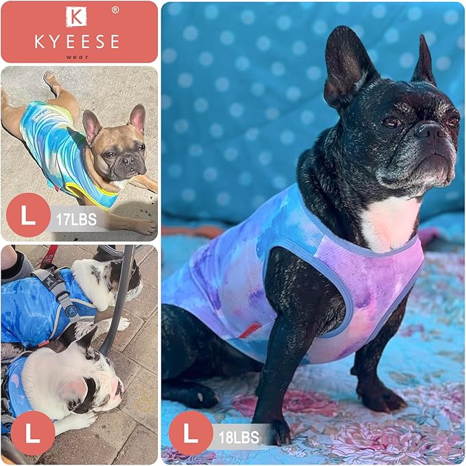 KYEESE 2Pack Dog Cooling Shirt, Breathable Dog Shirt for Small Dogs, Sun Protection Dogs Cooling Vest Tank Top, Lightweight Soft Sleeveless Summer Pet Clothes, Blue+Grey, M