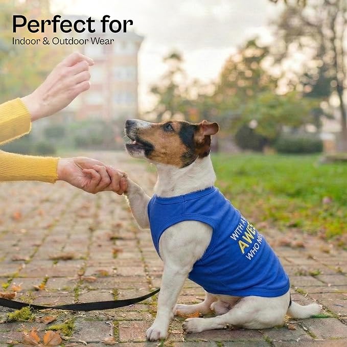 Parisian Pet Dog T-Shirt - Embroidered “ Awesome “ Shirt - Pure Cotton and Lightweight Dog Clothes - Blue Sleeveless Pet Tee Shirts - Cute Puppy Clothes - Shirts for Small Dogs Boy - S