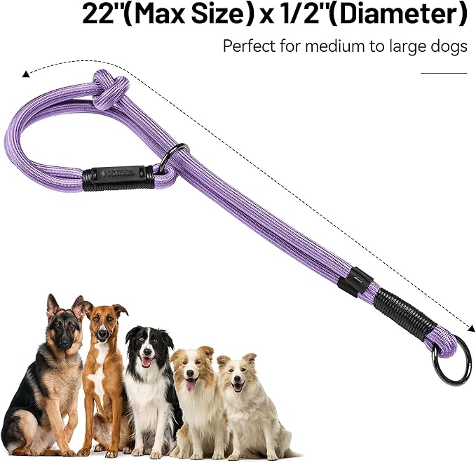 Slip Dog Collar, Nylon Rope Dog Choker Collars with Adjustable Stopper, Heavy Duty Collar for Medium Dog Training (Purple)