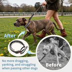 Mayerzon Martingale Dog Collar for Pulling, Patented No Pull Training Walking Collar with Buckle for Medium Large Dogs Bulldog Pitbull German Shepherd, Reflective, Adjustable, Heavy-Duty(M, Black)