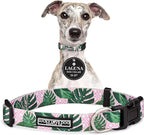 Lucky Love Dog Collars | Girl, boy Dog Collar for Small Medium Large Dogs - Comfortable, Soft, Cute - Laguna, Medium