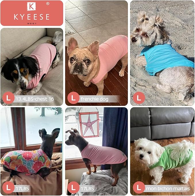 KYEESE 2Pack Dog Shirt, Lightweight Sun Protection Dog T Shirts for Small Dogs Boy Girl, Breathable Mesh Tank Top Sleeveless Pet Reflective Vest, Soft Summer Dogs Clothes, Flamingo+Blue, L