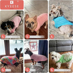 KYEESE 2Pack Dog Shirt, Lightweight Sun Protection Dog T Shirts for Small Dogs Girl, Breathable Mesh Tank Top Sleeveless Pet Reflective Vest, Soft Summer Dogs Clothes, Lemon+Pink, L