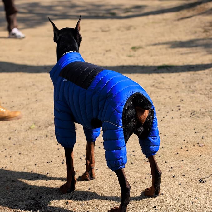Dog Warm Jacket Coat, 4 Legs Covered, Waterproof Windproof Reflective, Zippered Adjustable Outdoor Snow Jacket for Small-Medium-Large Dogs Blue