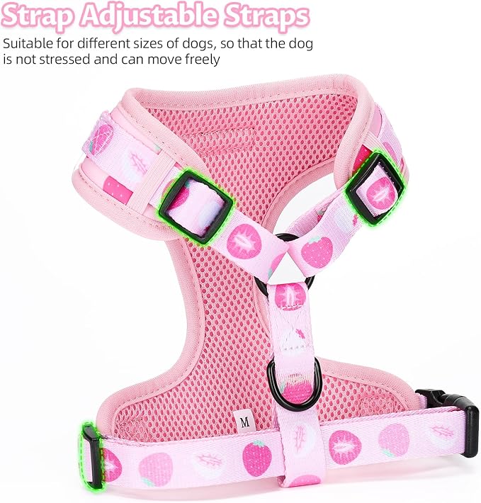Dog Harness and Leash Set, Adjustable Dog Harness, Dog Leash, No Pull No Choke Puppy Harnesses for Walking Training for Small Medium Pet (Strawberries, S(Chest 13-19", Neck 9.5-13.1"))