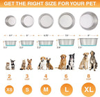Neater Pet Brands Stainless Steel Dog Bowls with Non-Slip Rubber Bottom – 3 Cup (24 oz), Teal - Set of 2 Heavy Duty Metal Dog Bowls, Dishwasher Safe, Food or Water Bowl, Ideal for Small to Medium Dogs