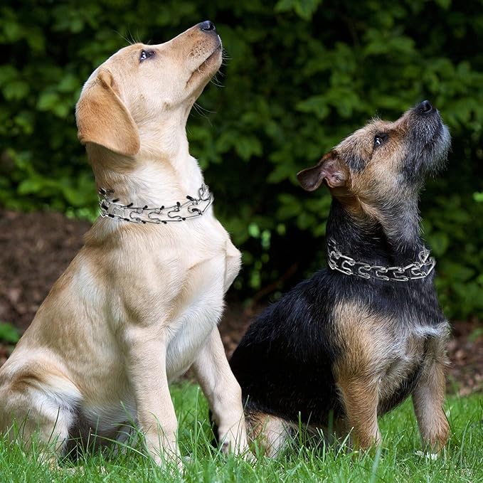 Dog Prong Collar, Adjustable Choke Collar for Dogs, High-Strength Metal Collar with Comfort Rubber Tips, for Large Breeds