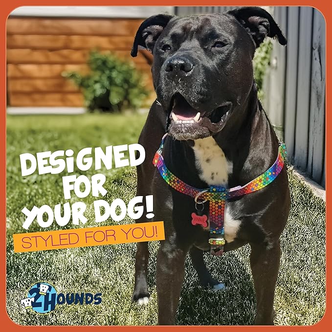 2 Hounds Design - Freedom No-Pull Harness & Training Leash in Blue and Rainbow | Dual Leash Loops, No Pulling on Walks | Lined to Prevent Chaffing | for Large Sized Dogs (Size M, Chest 24”- 28”)