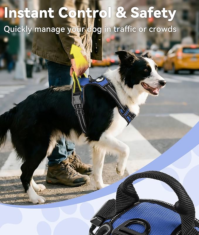 Joytale No Pull Dog Harness for Small Dogs, Reflective Pet Vest with Front Clip, Adjustable Soft Padded Harnesses with Easy Control Handle for Training and Walking, Navy Blue, S