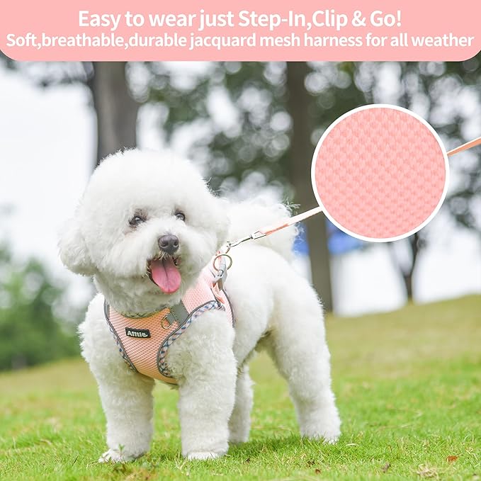 AIITLE XXS Dog Harness & Leash Set - Breathable Reflective No-Choke Small Dog Harness for Teacup Puppies, Indoor/Outdoor Use - Boston Terrier, Maltese, Chihuahua (Pink, XXS)