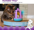 Catstages Two-in-One Chirping Bird Cat Toy with Ball Track for Corrugate Cat Scratcher, Engages Hunting Instincts, Purple
