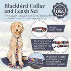 Lucky Love Dog - Easy Click Buckle Dog Collar with Leash Set Combo, Durable & Comfortable for Male & Female Dogs, Pet Collar for Large Dogs, Secure Fit - Blackbird Combo, Large