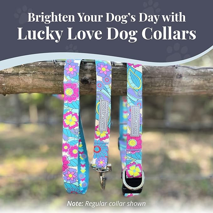 Lucky Love Dog Martingale Collar, Premium No Slip Martingale Collar for Medium Dogs, Great for Whippets, Greyhounds, and More (Caroline, Medium)