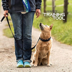 Ram-Pro Dog Training Collar Small Pinch Collar for Dogs Triple Crown Pro Training Collar Large Gentle Effective Control in a No Barking Control Dog Collar for All Breeds