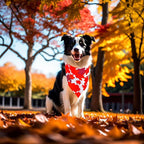 10PCS Large Dog Bandanas Fall for Medium Breed Dog Pumpin Harvest Leaves Forest Autumn Pattern Kerchief Triangle Bibs Head Scarves Boys and Girls Grooming Accessories Costume