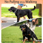 Stainless Steel Dog Training Collar, Quick Release Buckle, Adjustable Collar for Small Dogs Neck Girth 8.5"-10.5"