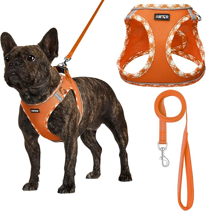 AMTOR Small Dog Harness with Leash Set, No Escape Easy Walk Puppy Harnesses for Training Walking, Step-in Reflective Soft Dogs Vest for XS S Medium Extra-Small Large Sized Dog(XL Size,Orange/White)