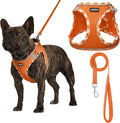 AMTOR Small Dog Harness with Leash Set, No Escape Easy Walk Puppy Harnesses for Training Walking, Step-in Reflective Soft Dogs Vest for XS S Medium Extra-Small Large Sized Dog(XS Size,Orange/White)