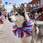 1PC Dog Independence Day Costume - Dog Cat Patriotic Collar Puppy Collar Patterns Pet Tutu Collar Pet Blue Costume for Dogs Small Medium Dogs