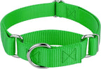 Country Brook Petz - Martingale Dog Collar - Heavy-Duty Training Collar with No Buckle - Service Dog Collar for All Pups - 10+ Cool Colors (Hot Green, 3/8 Inch, 3XS)